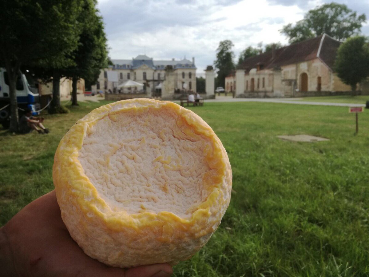TimKlaasidTour's tweet photo. @Vannieuwkerke, we verstoppen deze #Langres in je camper! Je hebt 3 dagen om hem te vinden! #ViveLeVelo https://t.co/xxmy3ETxx0