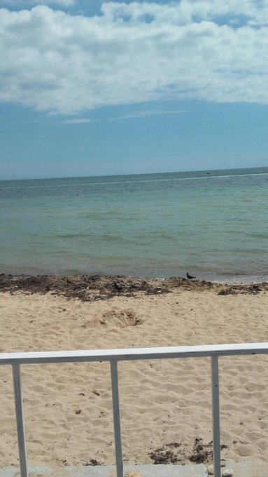 Переглянути зображення у Твіттері