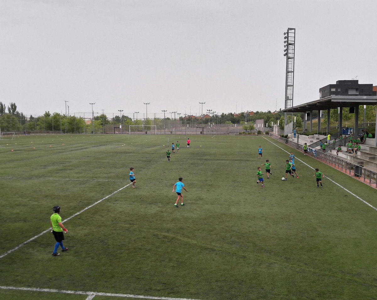 Academia Fútbol Alcobendas tweet media