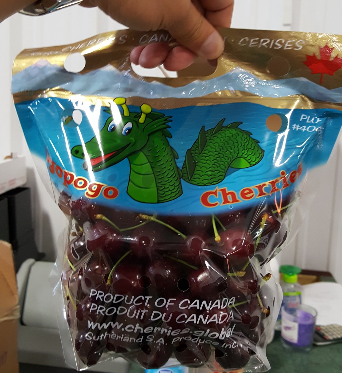 These "Ogopogo" pouch bags are flying off the shelves. Children love the label. 
#ogopogo #cherries #bc #canada 
cherries.global