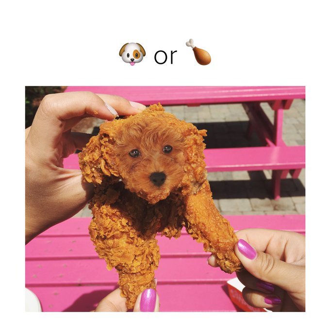 RT for dog Like for chicken #nationalfriedchickenday https://t.co/bCRhqWK0HZ<a href="/tag/nationalfriedchickenday"class="tags">#nationalfriedchickenday</a>