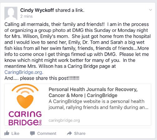 Please come out to the DMG pool this Sunday 7/9 at 6 for a picture at 6:30 to support Emily and the whole Wilson family 💗