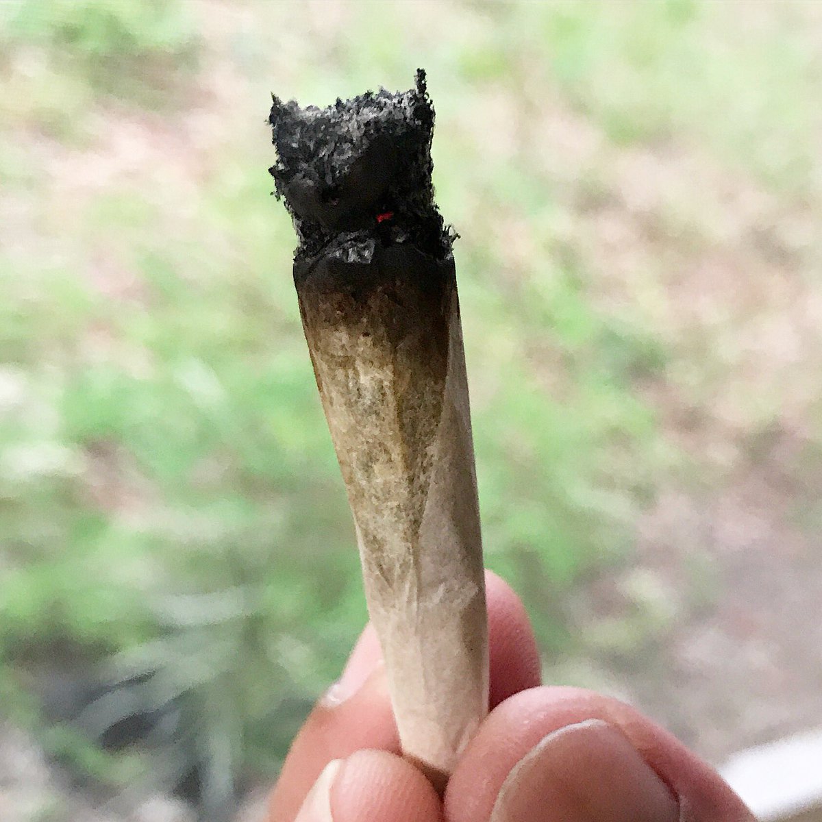 iRollUpCo's tweet photo. Smoke nothin but herb 🍁 with our all natural unbleached hemp papers shipped to your door 📦🏡 Sign up today 👉 https://t.co/k2gATIaRce https://t.co/chCiGV57f0