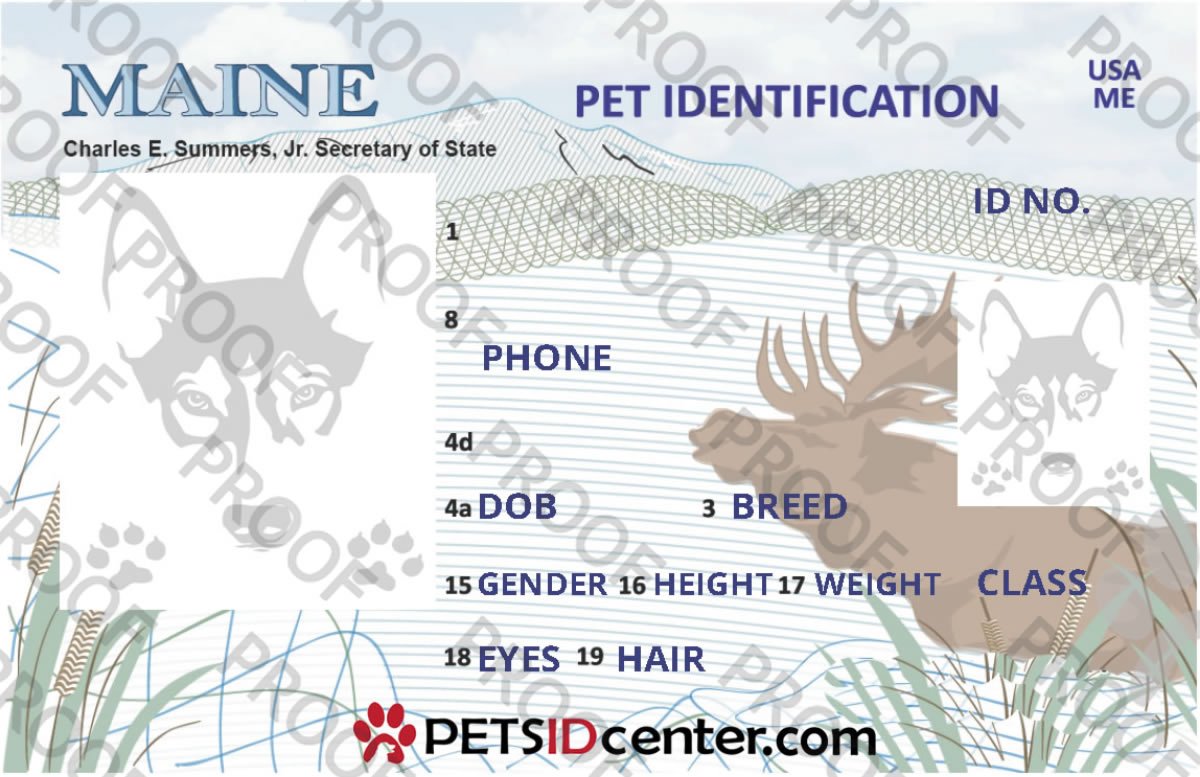 petsidcenter's tweet photo. #petidentification Maine Pet ID TAG https://t.co/3Y7uhhktA9 https://t.co/JByUd83pDs