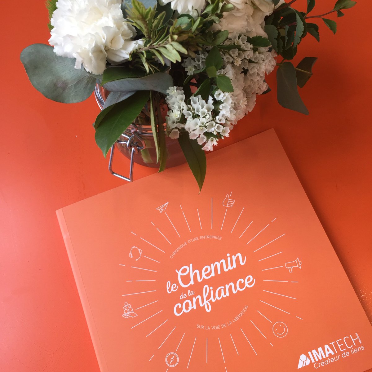 Vous avez été séduits par cet ouvrage ! Nous aussi ! Bonne lecture !! #LMAI2017