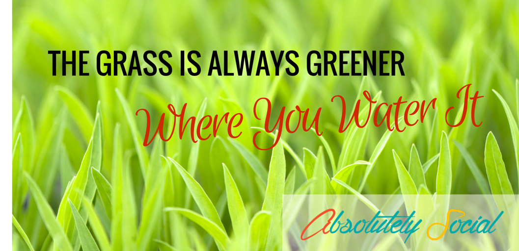 AbsolutlySocial's tweet photo. The grass is always greener where you water it. Tend and nurture your #smallbusiness and it will grow. #BizTips https://t.co/AVZbj844Zb