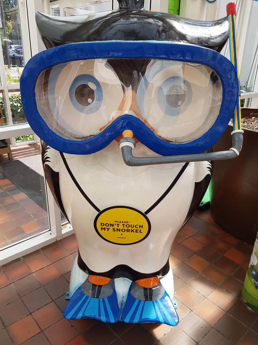 trevorbmbagency's tweet image. As the owner/manager of a certain AlfThePenguinOwl I have to say, I bloody love the #Wolvesinwolves @OwlAlf @Wolvesinwolvo