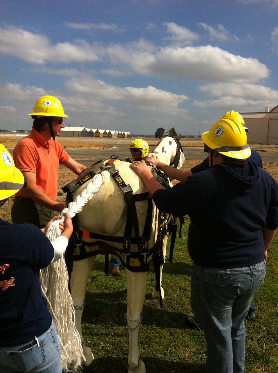 MRC_ASPR's tweet photo. TUES 7/11 @ 2pm ET: #MRCWellCheck Webinar on "Alternative MRC Units" (e.g. acupuncture, veterinary, college-based). https://t.co/RFKZEv2J2y https://t.co/G4bzer63ng
