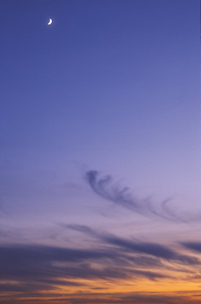 dhpCreate's tweet image. #sunset #photography