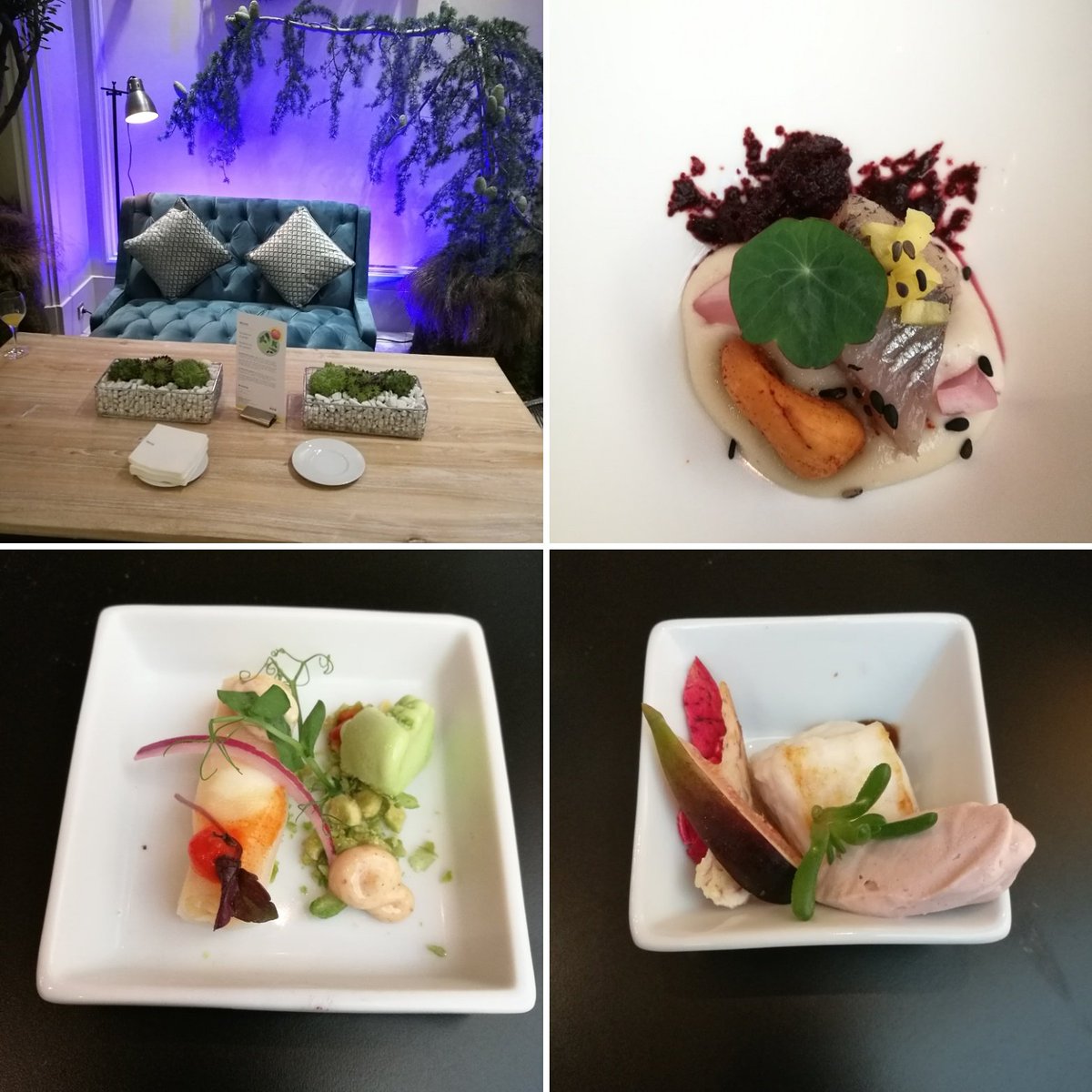 ceviche de sandia tweet media