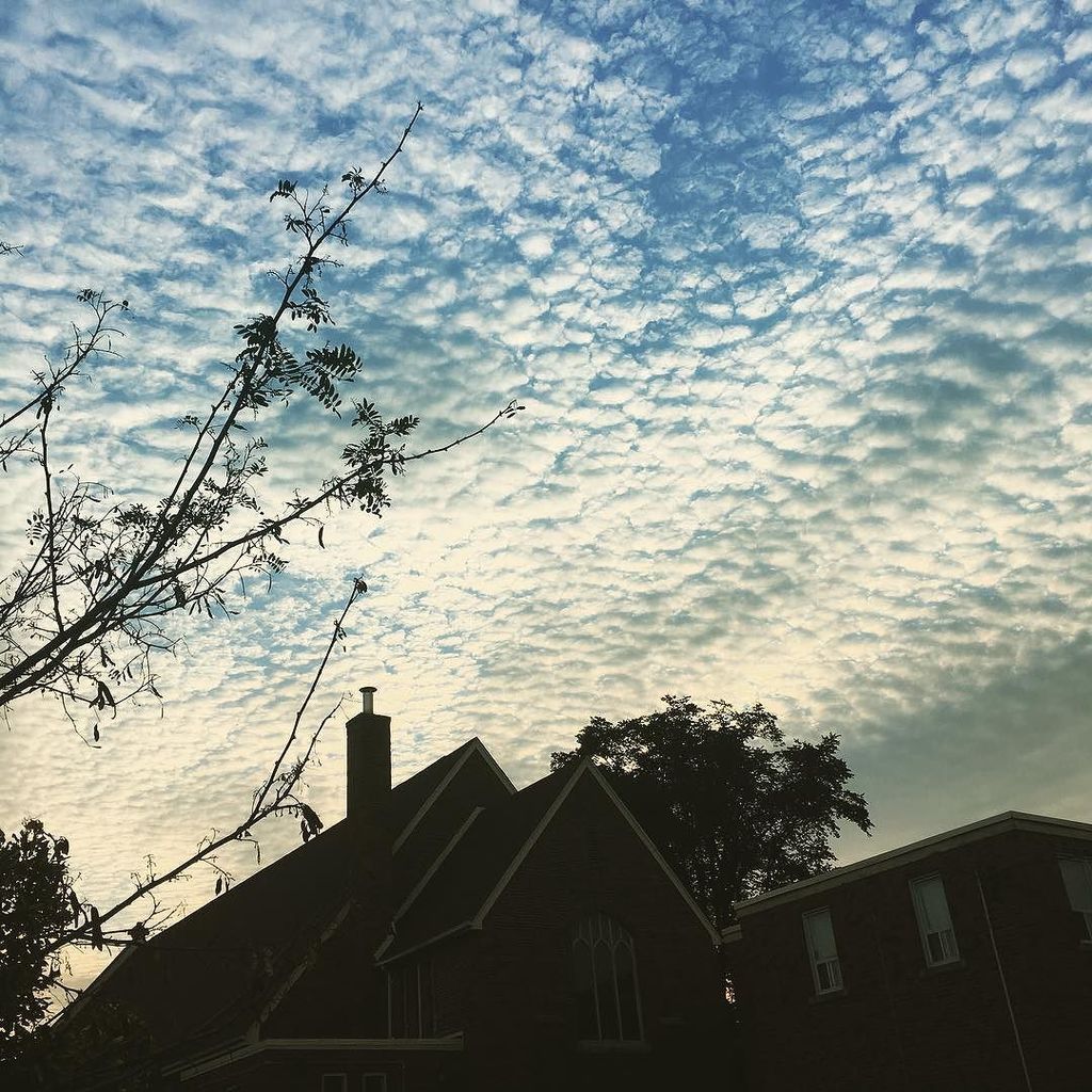 inevitablyMike's tweet image. Nice sky tonight.  #eastyork #danforthvillage #torontolife #toronto #thedanforth #mackarelsky ift.tt/2tmYGNA