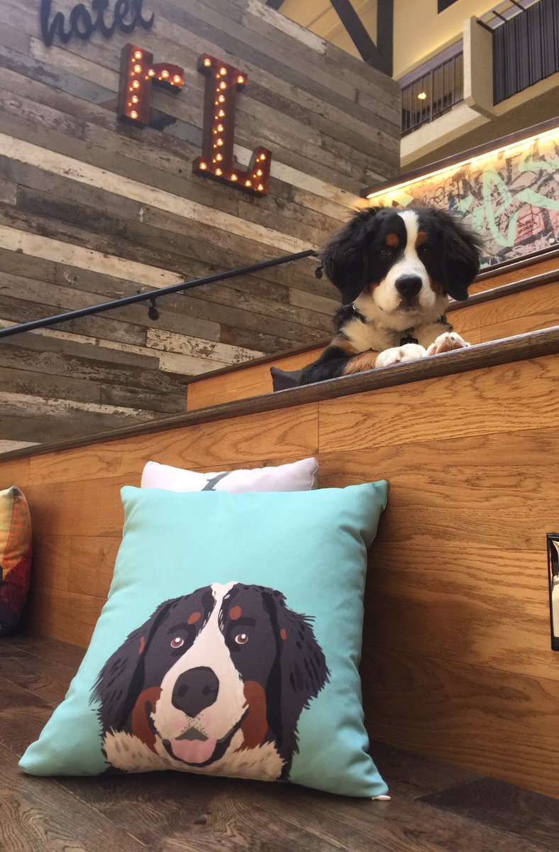 Hotel RL Spokane tweet media