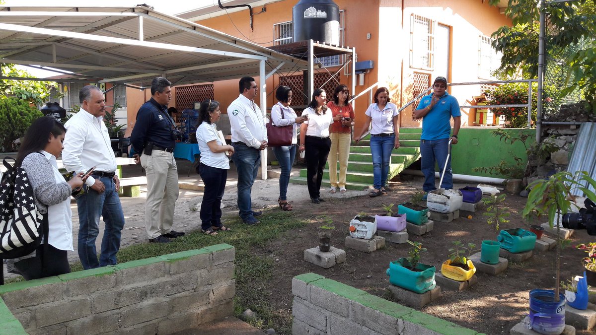 SNTE-Eds Colima tweet media