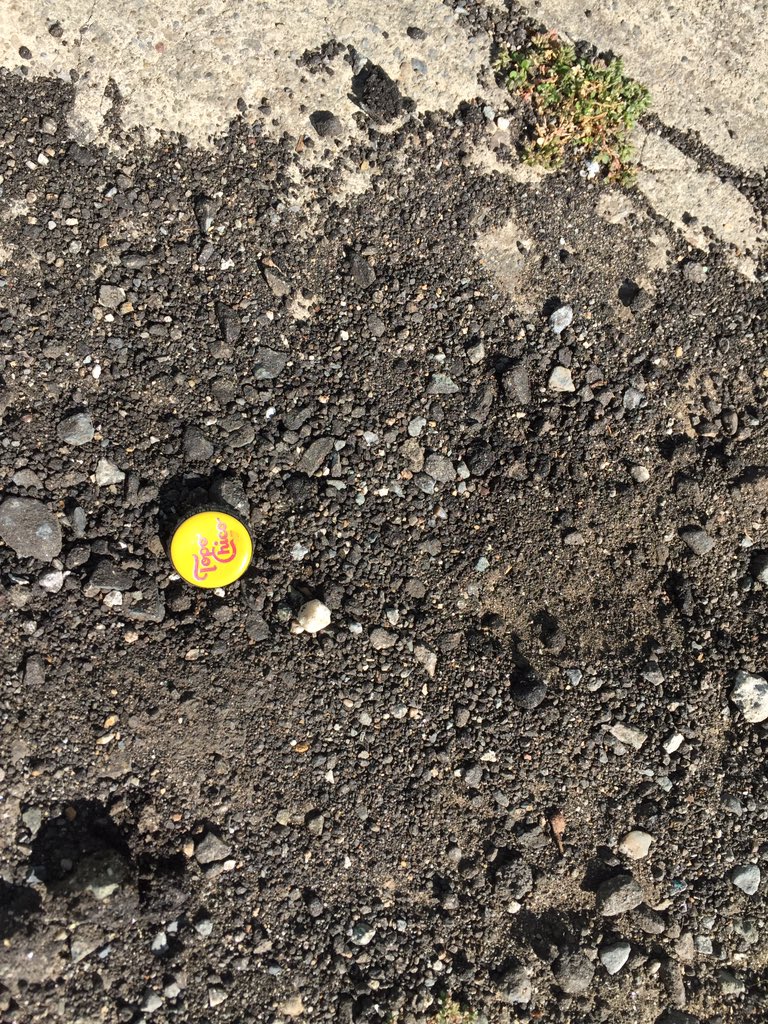 ParrotQA's tweet photo. @chadwhitaker @krissydeangelis Spotted in an alley near 24th and Potrero... our beverage investigation unit is looking into it. https://t.co/kBukBpm5BN
