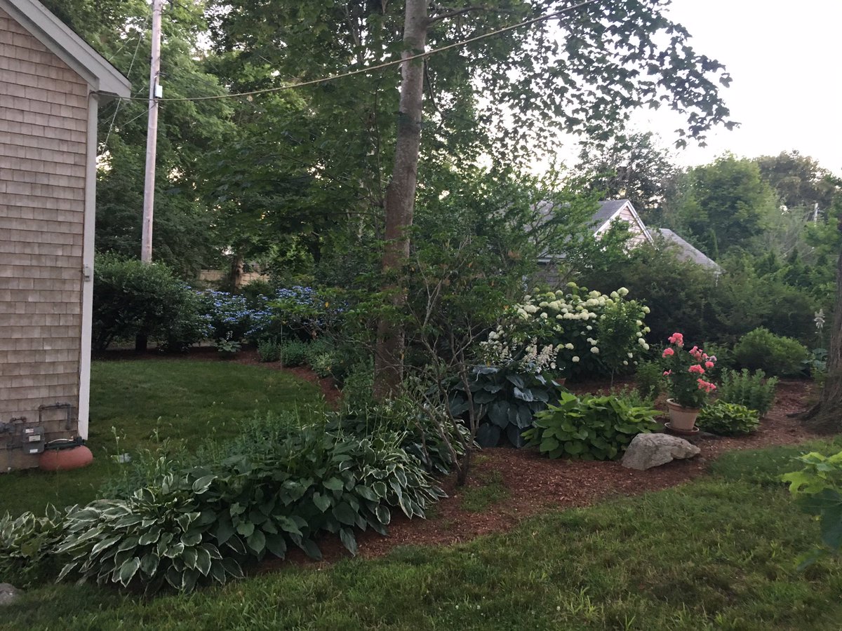 PalmerHouseInn's tweet image. A July evening at the Palmer House Inn. #CapeCodGarden #travel ow.ly/wd3p30dnMxS