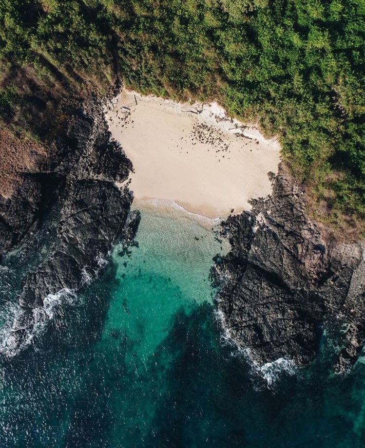 VisitPanama's tweet photo. Isla Iguana es parte del refugio de vida silvestre de la provincia de Los Santos, declarada área protegida

📷(IG): @marcofchen

#VisitPanama https://t.co/3nRFMPMU9M