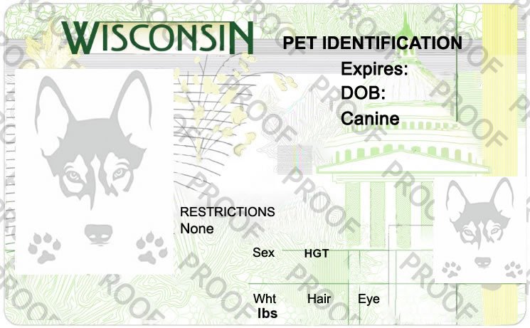 petsidcenter's tweet photo. #petsidtag Wisconsin Pet ID TAG https://t.co/ochXtQnt5A https://t.co/OL0xM2iJYa