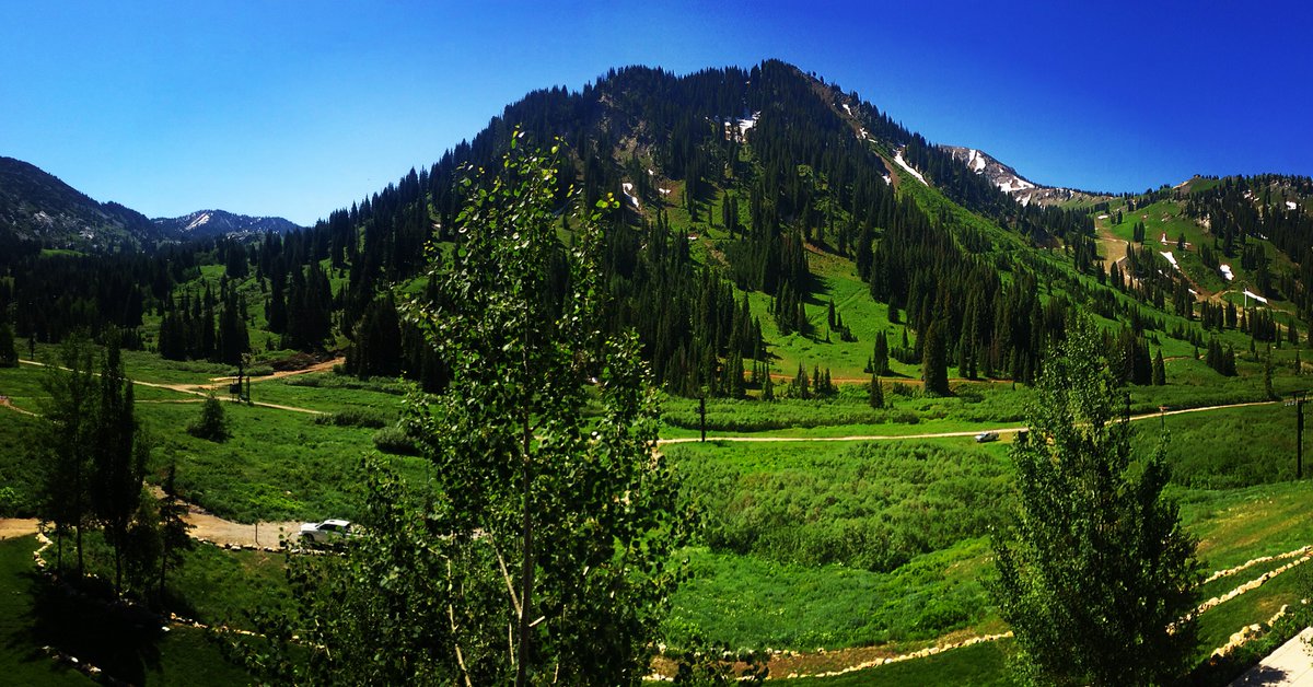 RustlerLodge's tweet photo. #thatviewtho #alta #rustlerlodge #summerinalta #LCClove https://t.co/MFGDaxltzu