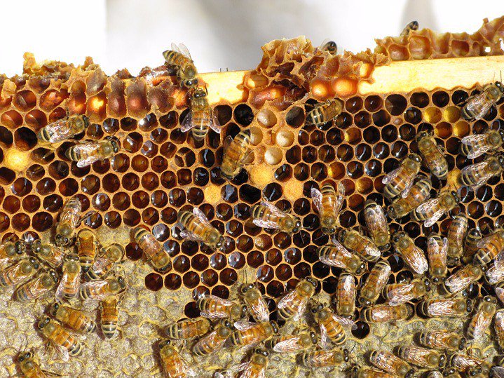 kettlelintime tweet media