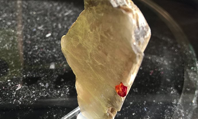 collectionofgem's tweet image. Red crystals of #Spessartine on #Muscovite from Apaligun, Braldu Valley, #Pakistan