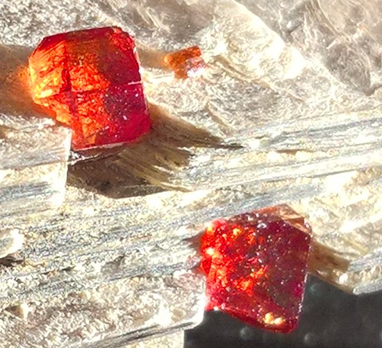 collectionofgem's tweet image. Red crystals of #Spessartine on #Muscovite from Apaligun, Braldu Valley, #Pakistan