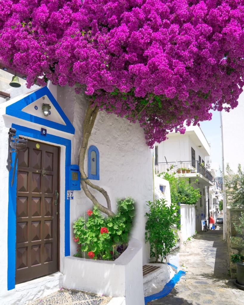 CARESSEBodrum's tweet photo. Perfect time to Discover Bodrum with Caresse..
#caressebodrum #theluxurycollection #bodrum #explorebodrum #beautifuldestinations https://t.co/giyad4CYKp