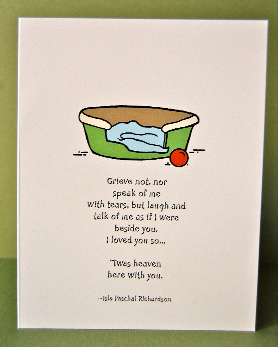 Thomas_F81's tweet image. Awe, so cute. RIP Lucky.💔😢🐶🌈😇