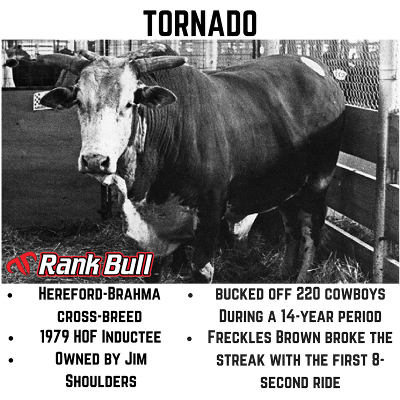 RankBullApparel's tweet photo. Tornado in our tbt #riderank series. #tbt #rankbull #liverank #rank #Country  #bullriding #TeamPBR #follow #Rodeo https://t.co/dRfsqsRMZn https://t.co/ZvWgIhfqlo