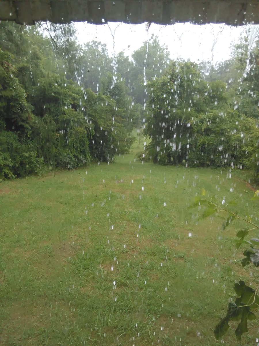 DukeRavensworth's tweet photo. @WHSVaubs This is Rockingham and Not LIGHT rain! @WHSVaubs @WHSVFPeyton #Neverblametheaubs #Sunshinefortheweekend https://t.co/sHdRhQA0KF