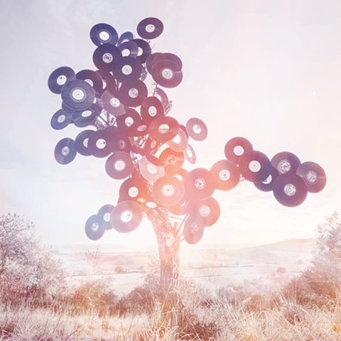 koriamusic's tweet photo. Straight from my garden! ;)
#KORIA #SummerTunes #DeepHouse #Love #Music https://t.co/ntobINu506