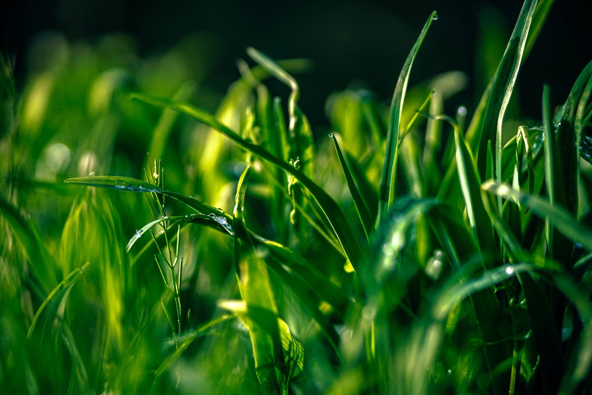 Colorhythm's tweet photo. @Colorhythm is a certified green business. Guess what?  IT SAVES US MONEY, TOO!  Replace your bulbs with LEDs to start. #sfgreenbusiness https://t.co/9KvaiL4ZCp