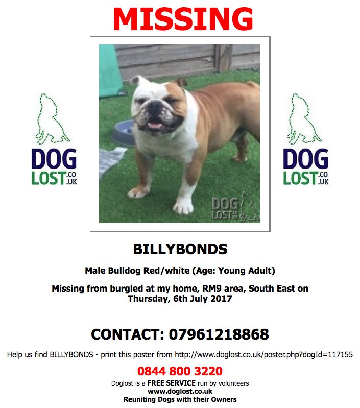 DogLostUK tweet picture