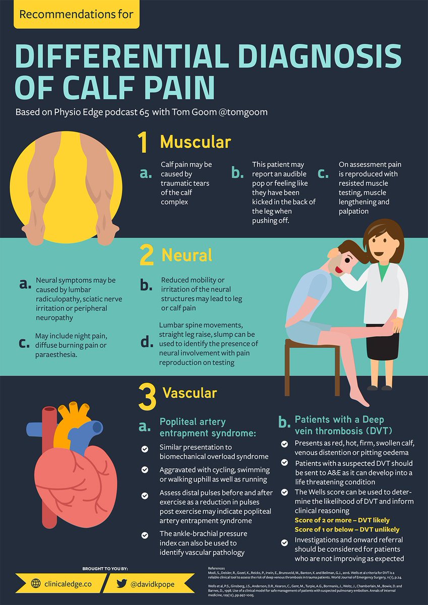 Infographic - Differential diagnosis of calf pain with <a href="/tomgoom/">Running-Physio</a> clinicaledge.co/blog/infograph…