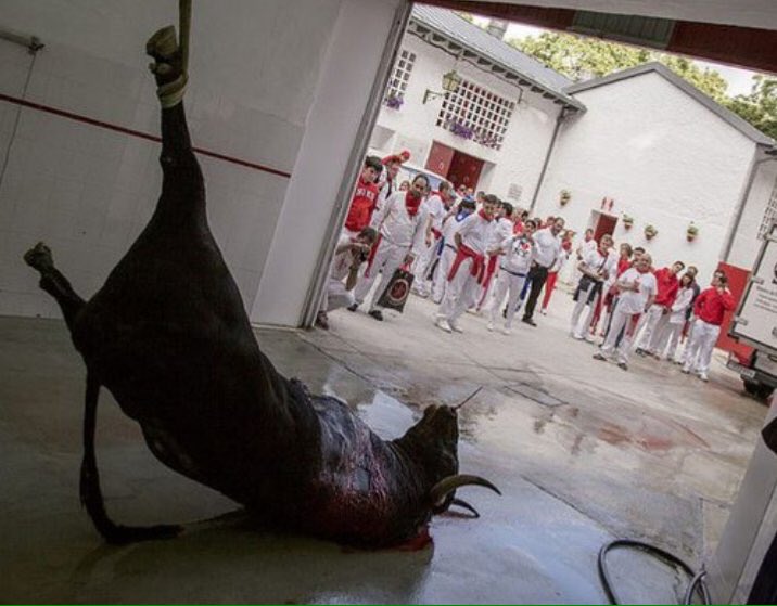 ecorepublicano's tweet photo. La otra cara de San Fermin. ¡El maltrato animal sobra en esta fiesta! #NoAlMaltratoAnimal https://t.co/md1f6zIu7z
