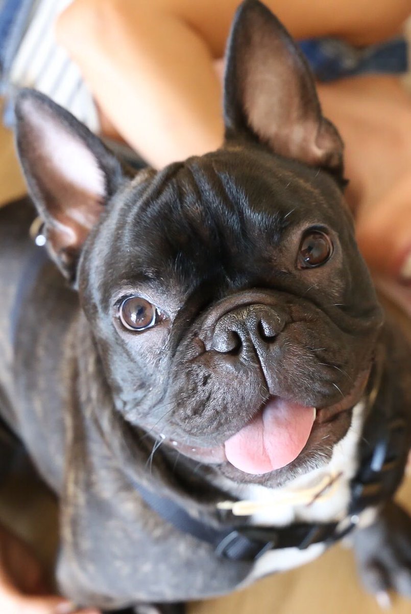 Alejandro Gómez tweet media