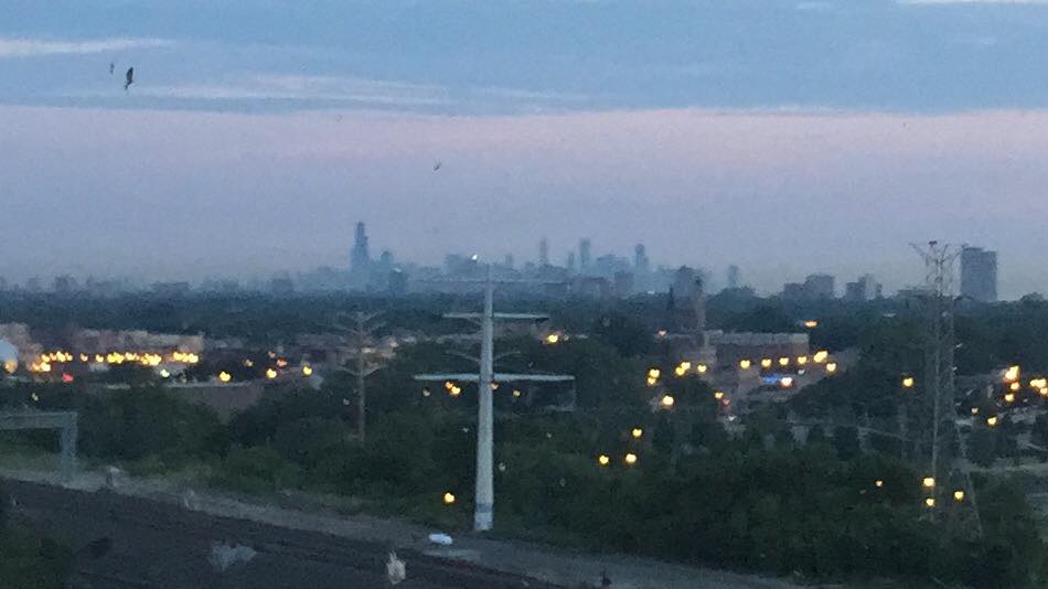 3DTravel_MissyS's tweet photo. Where are you traveling to this summer? Most recently, I went to Columbus. Allison's in Chicago now! #3ddogdaysofsummer #3dmissy #chicago https://t.co/WJeaZl7aAC