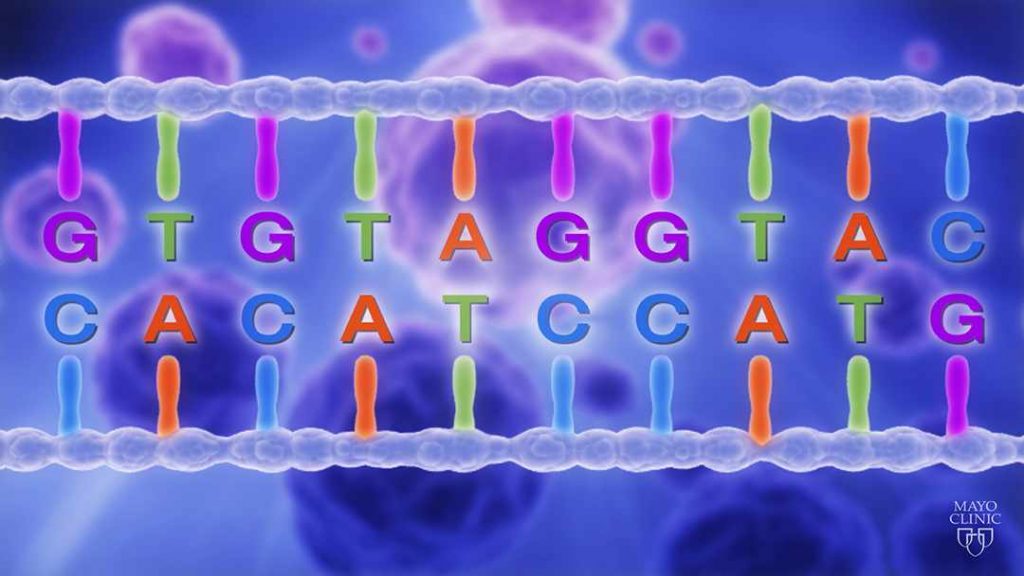 MayoClinic's tweet photo. How are #PersonalizedMedicine and #GeneticTesting connected? Dr. Timothy Curry replies in this #MayoClinicQandA. https://t.co/Fv4LV7riEB https://t.co/Aw8D3tULJN