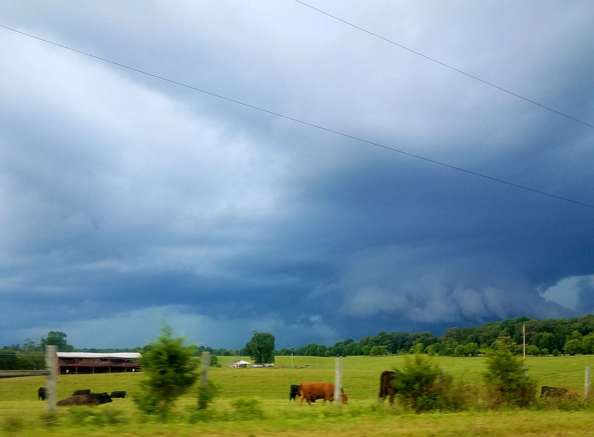 Ohsooveritall's tweet photo. I think I may have just driven past a #tornado in the making. Truly magnificent #storm #clouds! #AwesomeGod #MadisonCountyVA https://t.co/iDcrUCMV2g