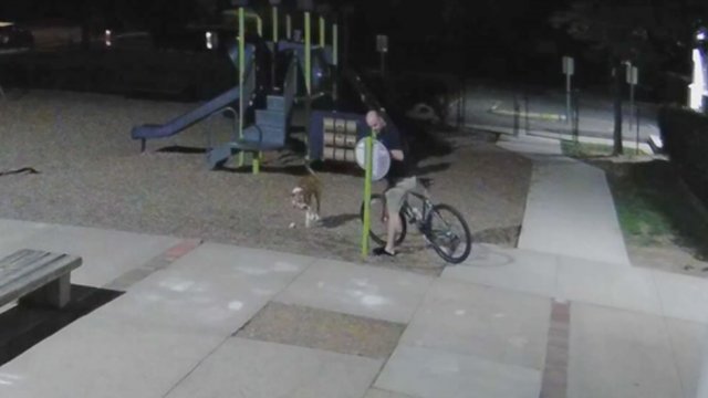 thehill's tweet photo. Trump supporter admits vandalizing elementary school with anti-Trump graffiti to try and frame liberals https://t.co/jDcFDz05pi https://t.co/OI7Cx0Qrqw