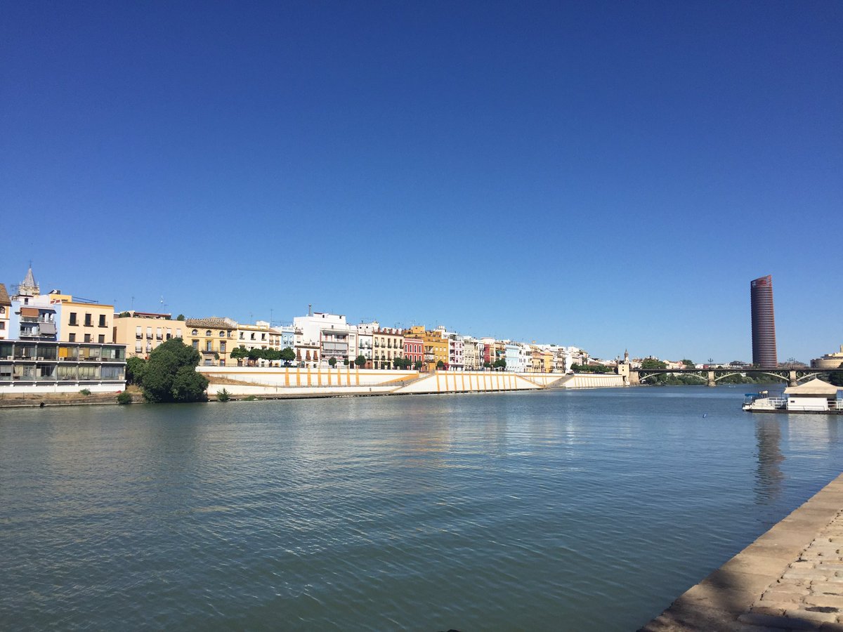 SrtaTesta's tweet photo. Beautiful morning for a run through Sevilla! Parque María Luisa &amp; my old stomping grounds, Calle Betis w/Sevilla's ONLY skyscraper in back! https://t.co/TcQh2LQEY8