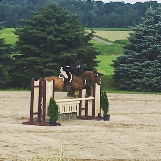 UTM_Equestrian's tweet photo. Incoming freshman Sylvia Justice on her way to a win in the performance hunters #utmeq #skyhawksummer π·πΆ https://t.co/3bGjDTDCEu