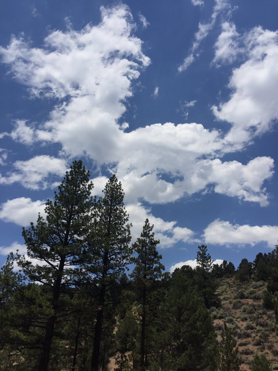marcieamaro's tweet photo. A day in #BigBear #amaroadventures #sothisislove ❤️☀️ https://t.co/iIWStoyQZB