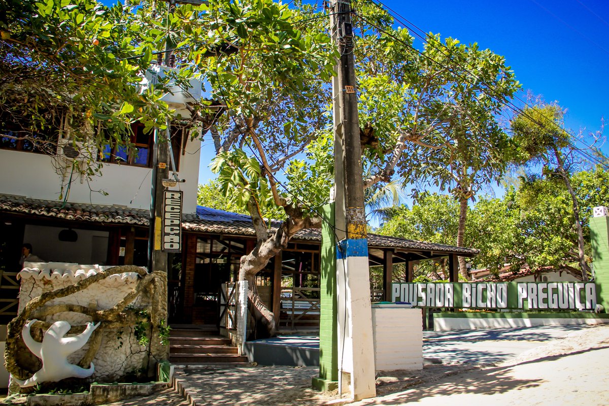 partiupipa's tweet photo. Pousada Bicho Preguiça - Pipa/Rn /  200 metros da Praia do Amor !
Acesse : https://t.co/YAX8GZdsdG e conheça a estrutura ! https://t.co/sEoa0hmvJf