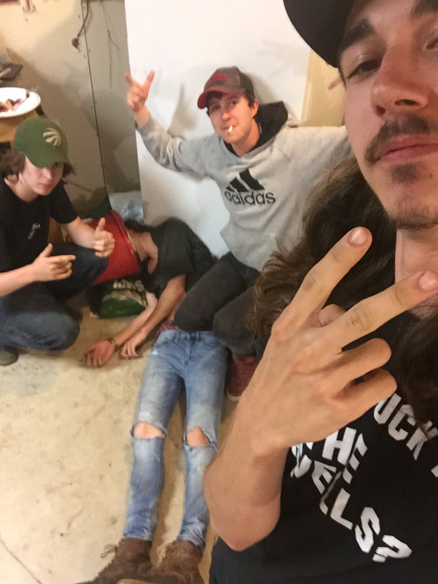 Dylan tweet media
