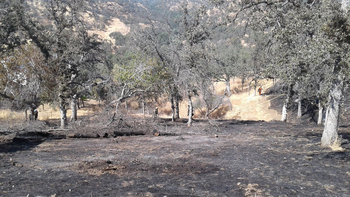 CALFIRE_TUU's tweet photo. Blue Incident on Bear Creek Rd in Springville Ca is 100% Contained @ 5 acres. Fire is under investigation. #Blue17 https://t.co/QePXahegS9