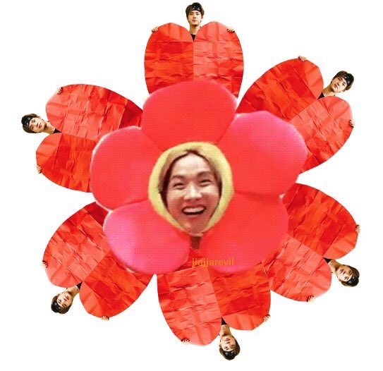 AririsSings's tweet photo. #HobiYouArePerfect 💓😘 RT si quieren que este feliz 🦄⚡️ https://t.co/5Ub9j8ir0I