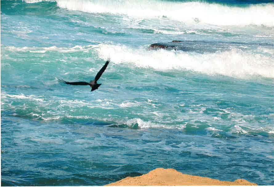 BruceDavidson47's tweet photo. THE MEDITERRANEAN SEA https://t.co/s9a43ckPde