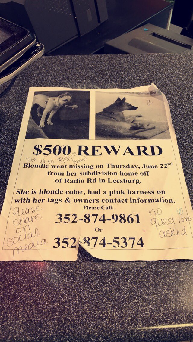 JenAPurr420's tweet photo. #share #leesburgflorida #steaknshake #radioroad #help https://t.co/Xkz4EHlm9p