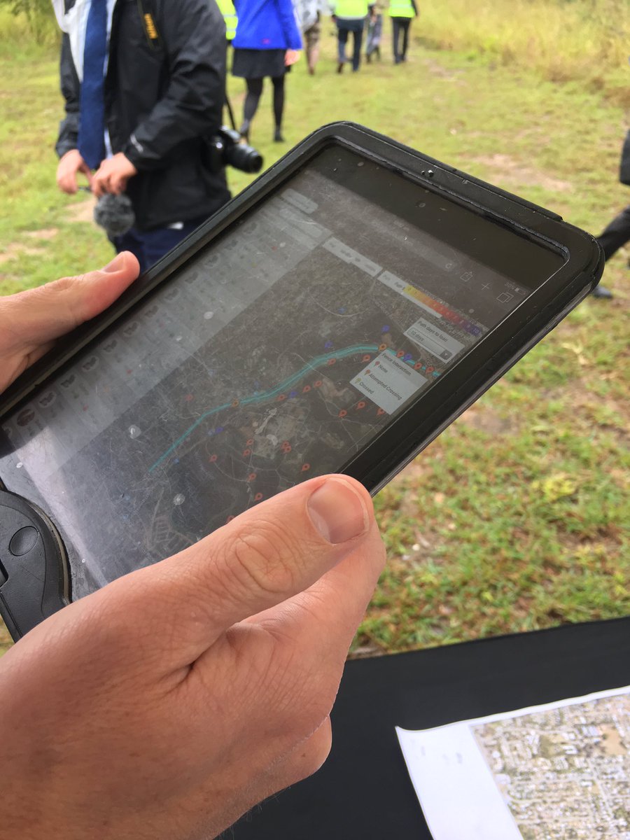 MoretonBayRegion tweet media