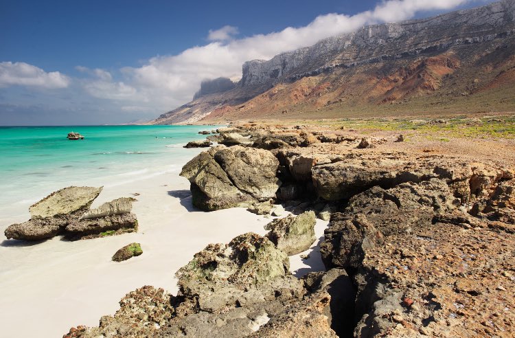 сомали остров сокотра. сокотра остров. сокотра йемен. йеменский остров сокотра. побережье йемена.